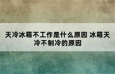 天冷冰箱不工作是什么原因 冰箱天冷不制冷的原因